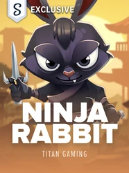 Ninja Rabbit