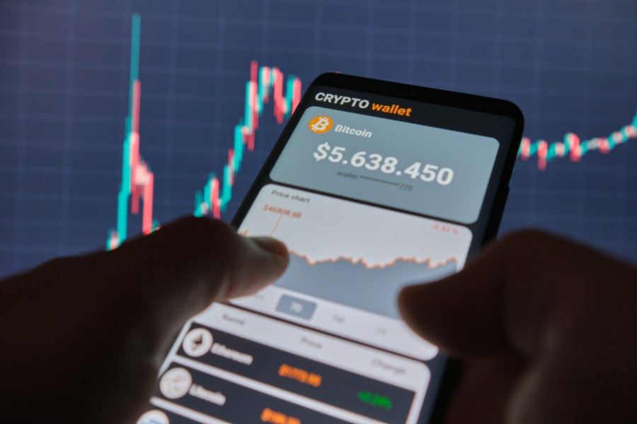 a person accessing a crypto wallet