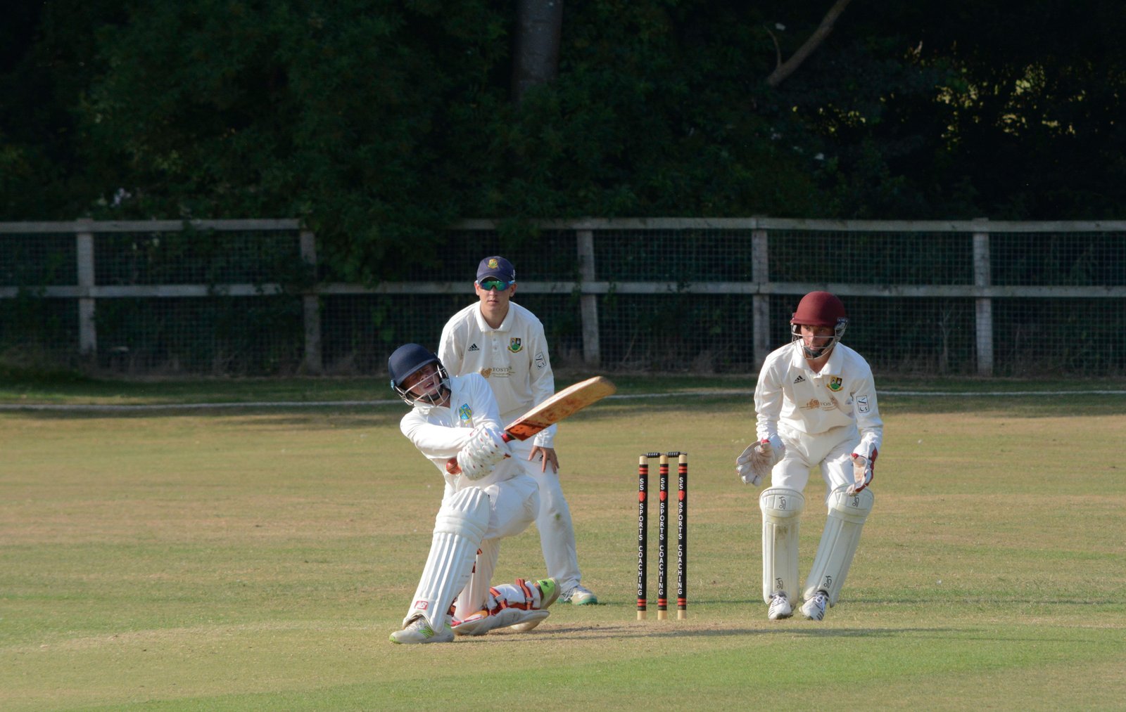 people playing cricket
